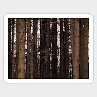 Forest Sticker